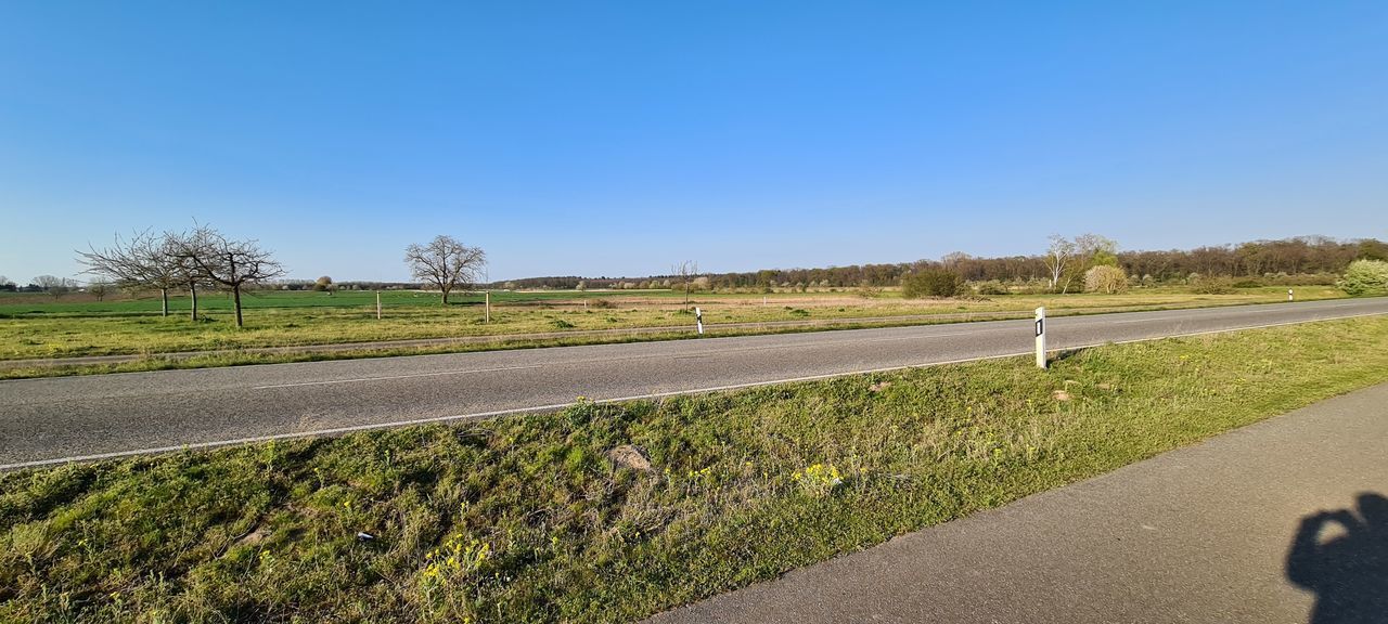 VIEW OF EMPTY ROAD ALONG TREES AND CLEAR SKY