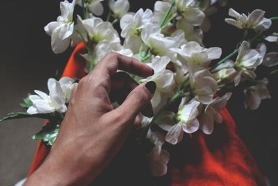 Close-up of hand holding flowers