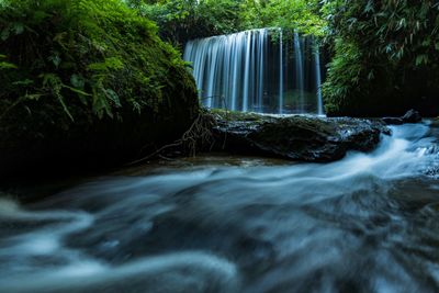 Scenic view of waterfall in forest