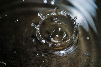 Close-up of water splashing