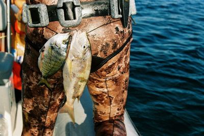 Close-up of fish in water