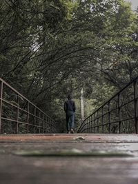 Rear view of man walking on footbridge in forest