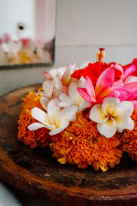 Close-up of frangipani on flowers