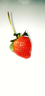 Close-up of strawberry against white background