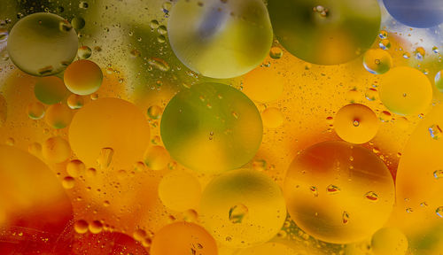 Full frame shot of water drops on glass window