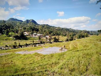 Trees on field against sky