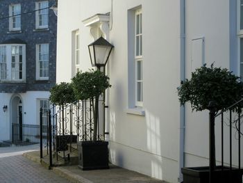 Building with trees in background