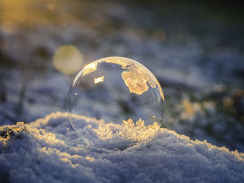 Close-up of bubbles in winter