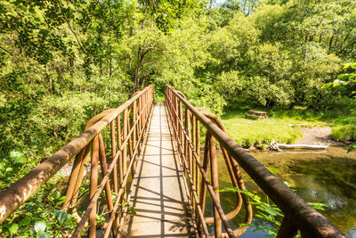 Footbridge amidst trees in forest