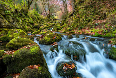 Stream flowing through rocks in forest