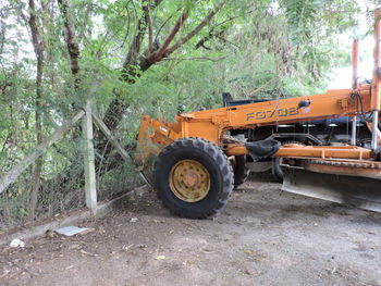 Vintage car against trees