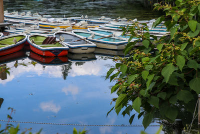 Boats moored in lake