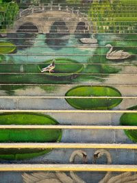 High angle view of birds on steps