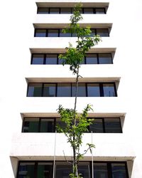 Low angle view of residential building