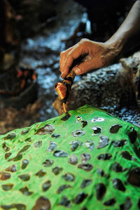 Close-up of human hand