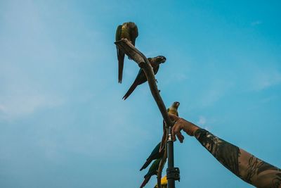 Low angle view of building against blue sky