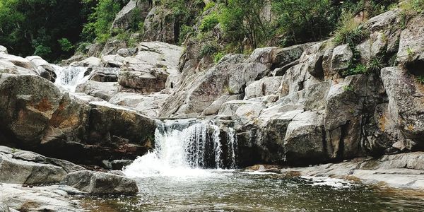 Low angle view of waterfall in forest