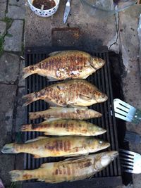 Fish on barbecue grill