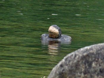 Rocks in water
