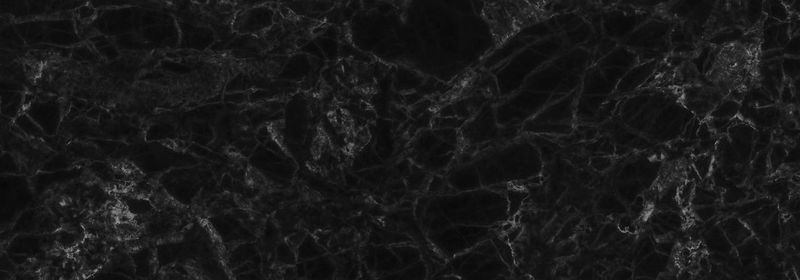 Full frame shot of trees growing on rock at night