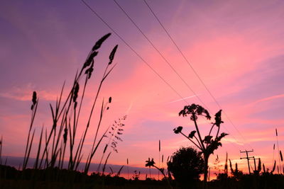 Silhouette plants against dramatic sky during sunset