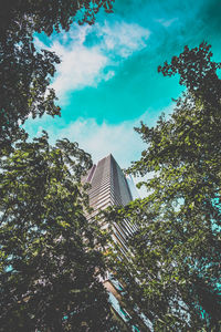 Low angle view of trees against blue sky