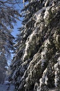 Low angle view of snow covered mountain