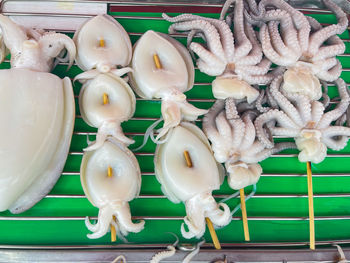 High angle view of white flowers for sale in market