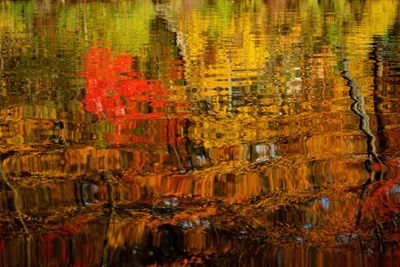 Full frame shot of autumn tree reflection in water