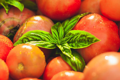 Full frame shot of tomatoes