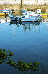 Boats moored at harbor