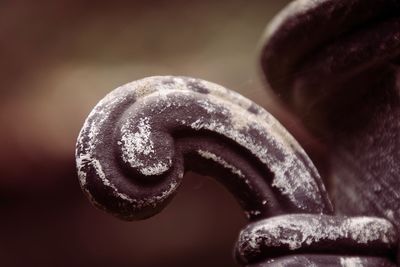 Close-up of rusty metal