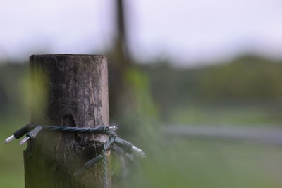 Close-up of wooden fence on field