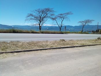 Empty road along trees