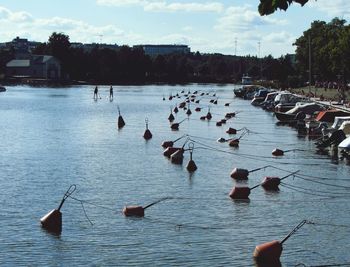 High angle view of birds flying over river