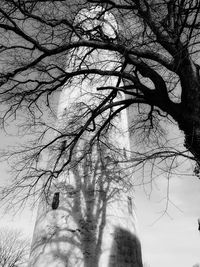 Low angle view of silhouette bare tree against sky