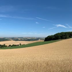 Scenic view of agricultural field against sky