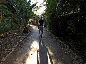 Rear view of man walking on footpath amidst trees