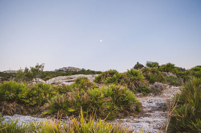 Scenic view of land against clear sky