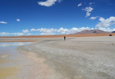 Rear view of man standing on landscape against sky