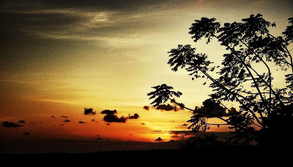 sunset, silhouette, sky, tranquility, tranquil scene, scenics, beauty in nature, tree, nature, orange color, idyllic, sea, cloud - sky, water, horizon over water, branch, growth, dusk, outdoors, cloud