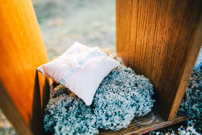 High angle view of textile on plant in wooden shelf