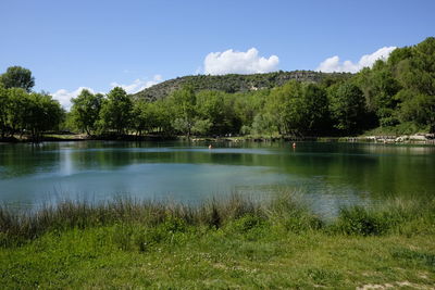 Scenic view of lake in forest against sky