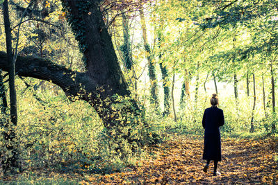 Rear view of man walking in forest