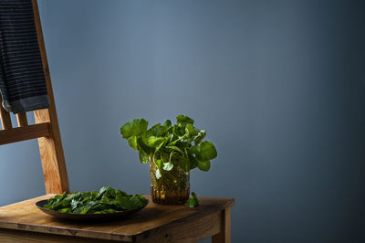 Leaf vegetables in jar on chair