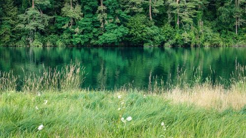 Scenic view of lake