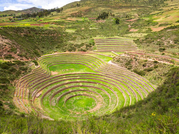 High angle view of agricultural field