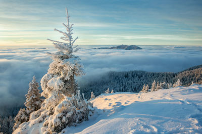 Scenic view of snowcapped mountains against sky