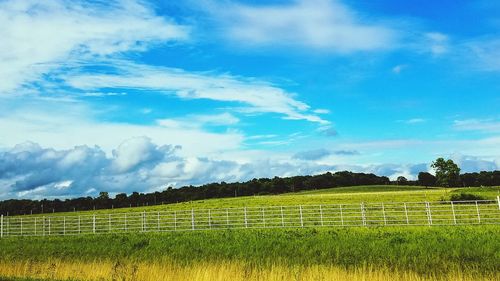 Scenic view of agricultural field against sky