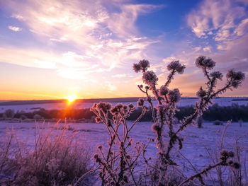 Scenic view of snow field against sky during sunset